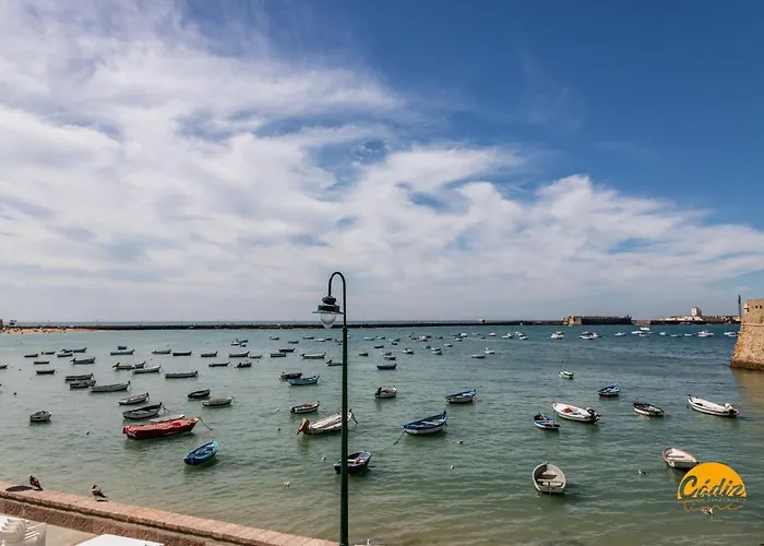 Estudio Las Flores By Cadiz Time